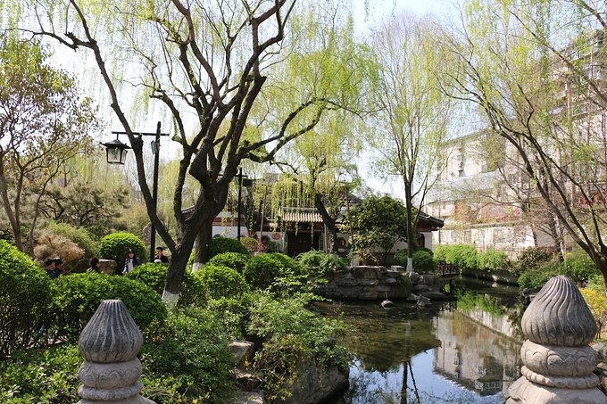 行走齐鲁大地_济南旅游攻略_自助游密室_去哪攻略逃脱7攻略第十八图片