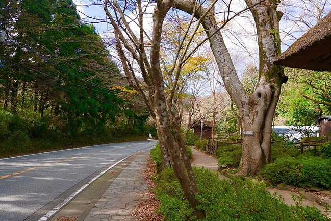 东京箱根全攻略!一手购物一手美景_东京旅游攻略