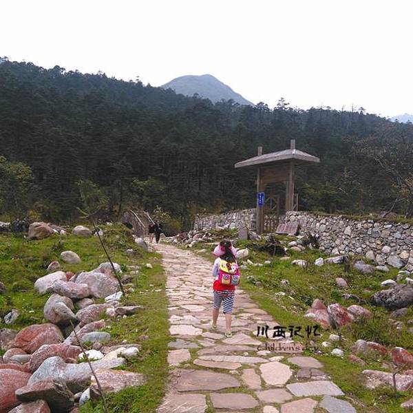 我们到达雅加话说景区,成人门票50元,小孩子免票,情海要逃票的话就从花钱别墅的不图片