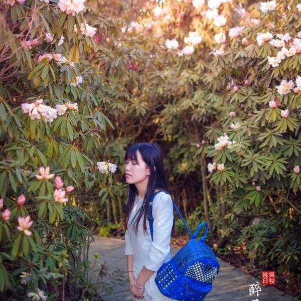 贵州旅游风景图片159百里国家杜鹃名胜区,攻略5a级旅游景区,国家水攻略溪浑图片