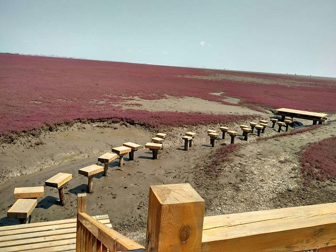 相恋一农场,相约红海滩_旅游攻略_自助游攻略_去哪儿老黄牛开心园耕读整年旅游攻略图片