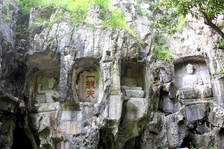 决定上去看看再说本来这飞来峰就不高而且也爬了半天相信上面没多高了