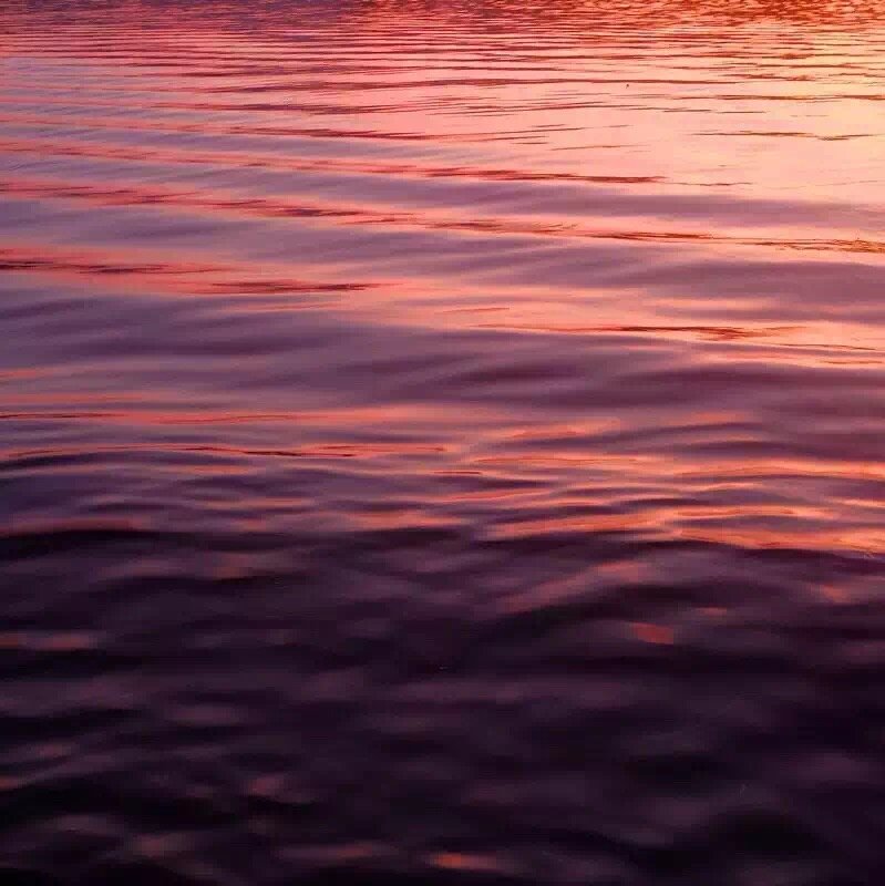 活在杭州｜爱情，让我们学会有仪式感的生活