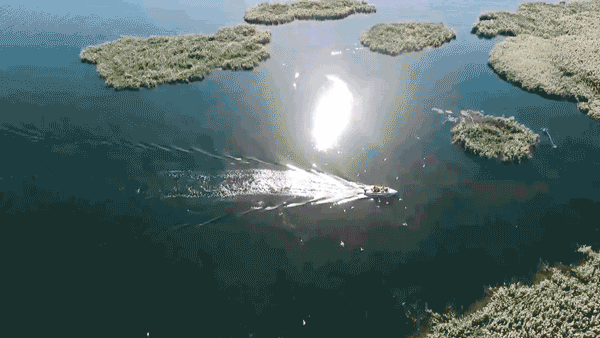 600_338gif 动态图 动图