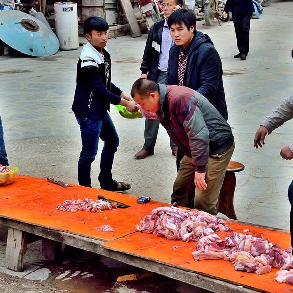 2018肇兴游记_v游记地址_门票_刑事_攻略下载11立美食点评花侗寨图片