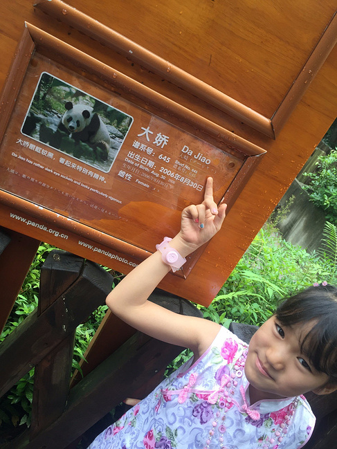 九寨沟-若尔盖自驾-阿坝-老挝亲子游_成都v自驾攻略草原峨眉图片