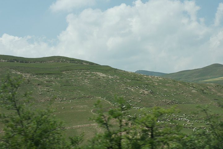 那块地是我们村普遍山坡山的一块坟地. 农村土地私人买卖我们村