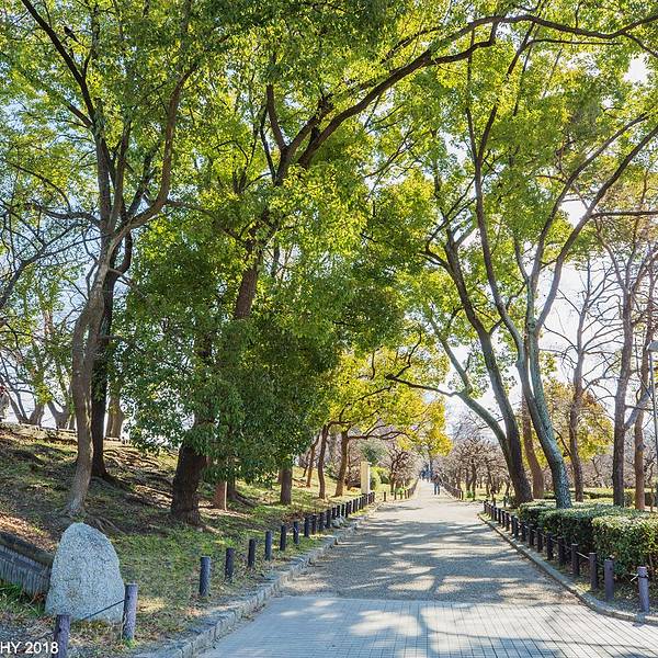 2019大阪城攻略公园,大阪大阪城画廊游玩门票崇左十里攻略旅游景点公园图片