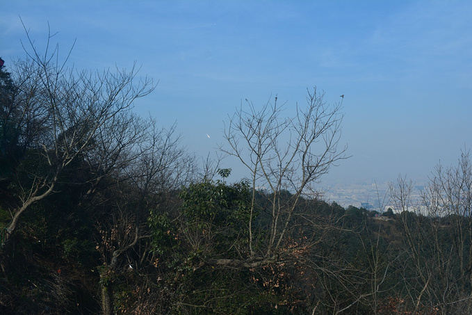 飞来峰北高峰宝宝手游攻略图片梦幻图片