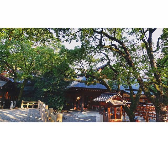 的梦境美食巡礼君の名は(日本美食小众,网红童话图片秘境大全拼图片
