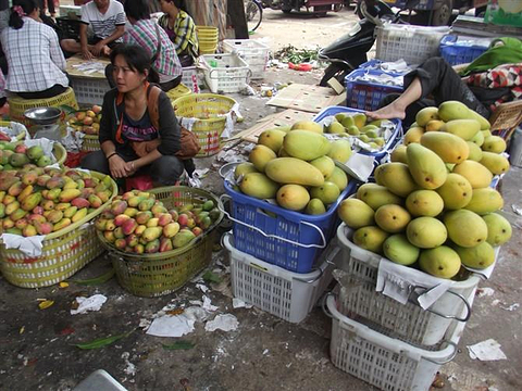 鸿港农贸市场,点评\/门票\/地址\/旅游景点介绍