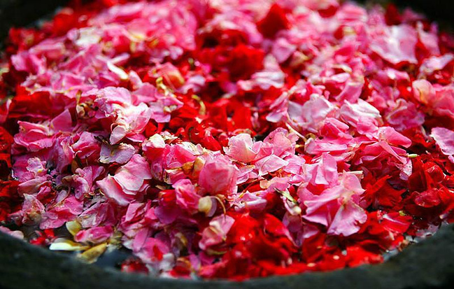 狮城.新加坡;神国.巴厘岛-团队购物陷阱要注意