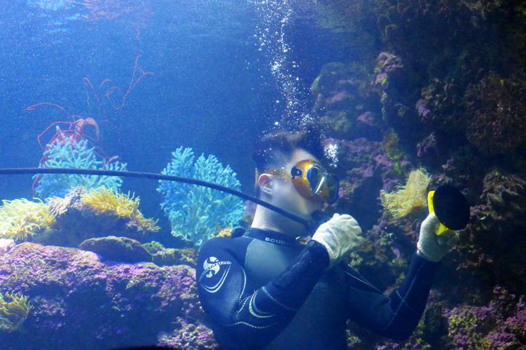 青岛极地海洋世界的评论-去哪儿攻略社区