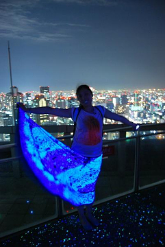 梅田蓝天大厦旅游攻略_门票_地址_游记点评,大