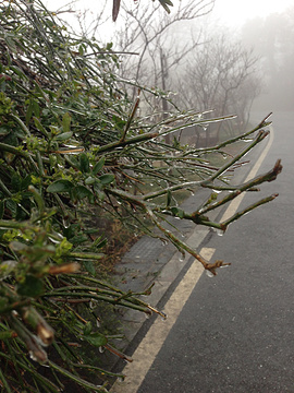 2014岳麓山_旅游攻略_门票_地址_游记点评,长