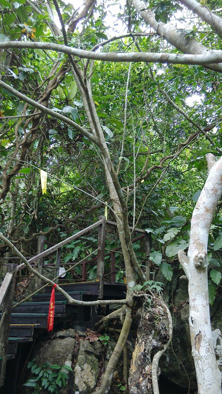 三亚海口一住宿_三亚旅游攻略_自助游攻略_去崇州三江周游攻略图片
