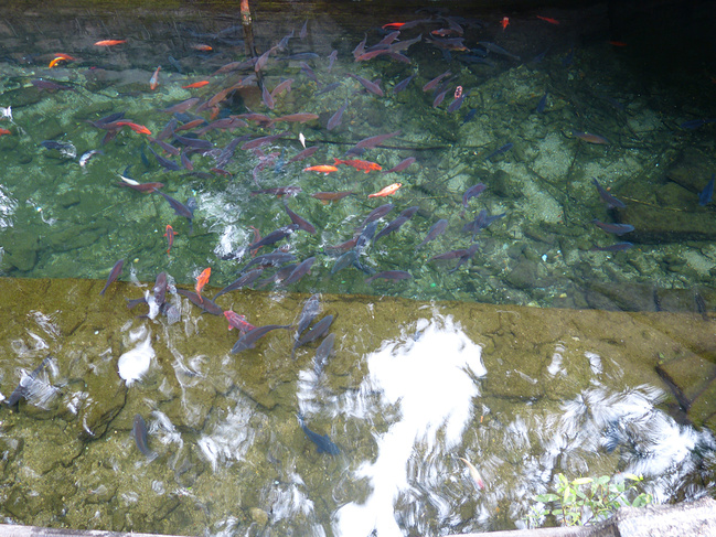 灵泉汪洋,汲水谆谆--记济南2日游_济南旅游攻略