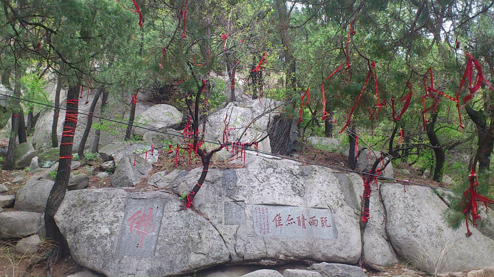 天门一长啸,万里清风来--四月泰山游-游记攻略