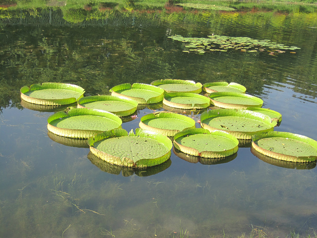 【北京】400元3天穷游在帝都_北京旅游攻略