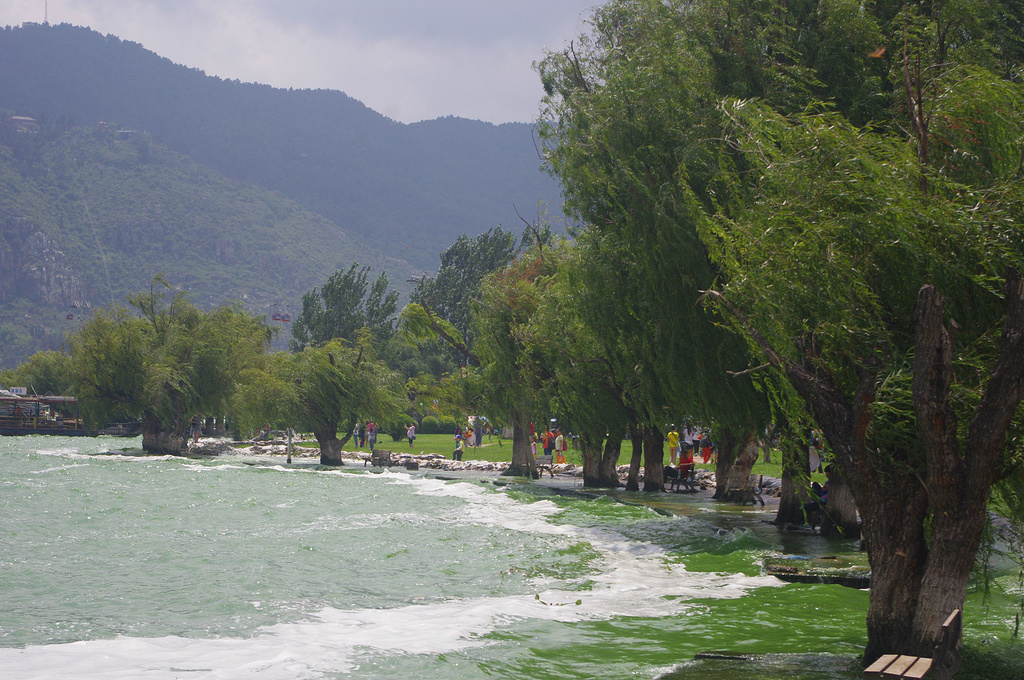 2014滇池(英文名Tien Lake,亦作Ti._滇池评论 -