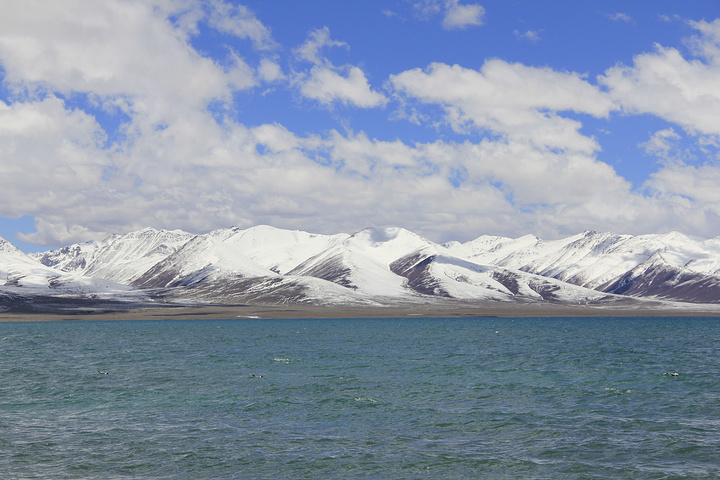 2015我曾经看到过很多赞美纳木措的诗歌_纳木