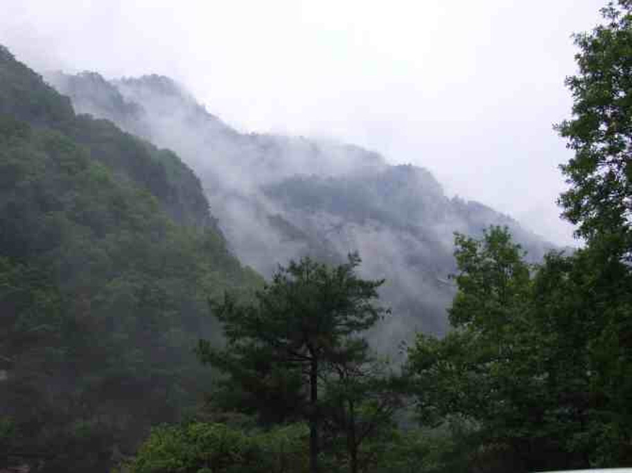 2015太平森林公园_旅游攻略_门票_地址_游记