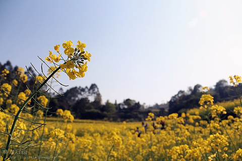 2015莆田旅游攻略,莆田自助游_周边游攻略,莆