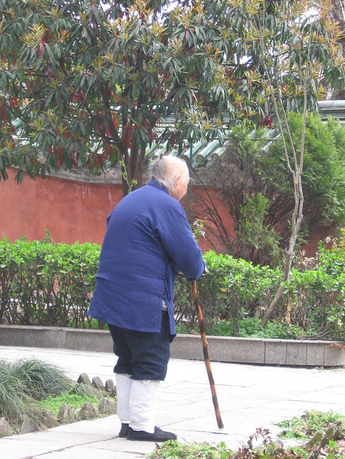 问道武当,古隆中对_襄阳v攻略攻略_自助游攻略攻略兵马俑游览图片