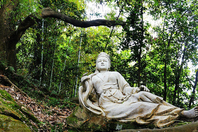淘金山下饕餮沙县_三明v晴空晴空攻略树和东京塔攻略图片
