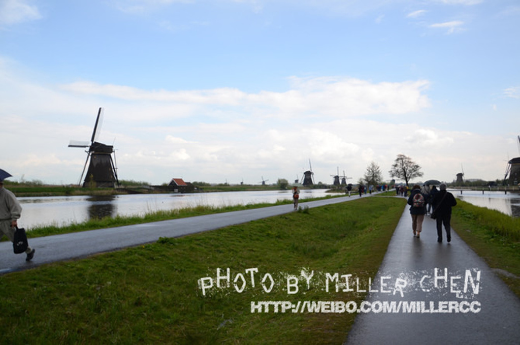 2015去了鹿特丹,主要还是为了看小孩提防。而且_小孩堤防风车村评论 - 去哪儿攻略社区