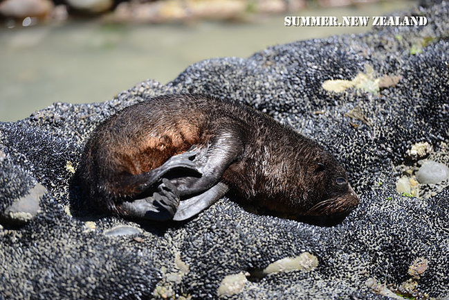 不一样的旅行-26天漫游新西兰南岛【下】_基督