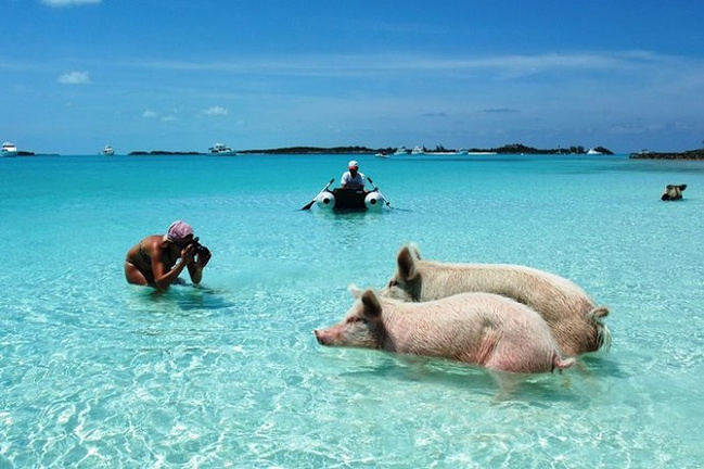 碧海蓝天美丽如画-巴哈马群岛_罗马旅游攻略_自助游攻略_去哪儿攻略社区
