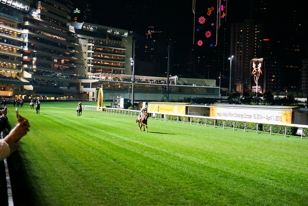 2015下注金额最低10元_跑马地赛马场评论