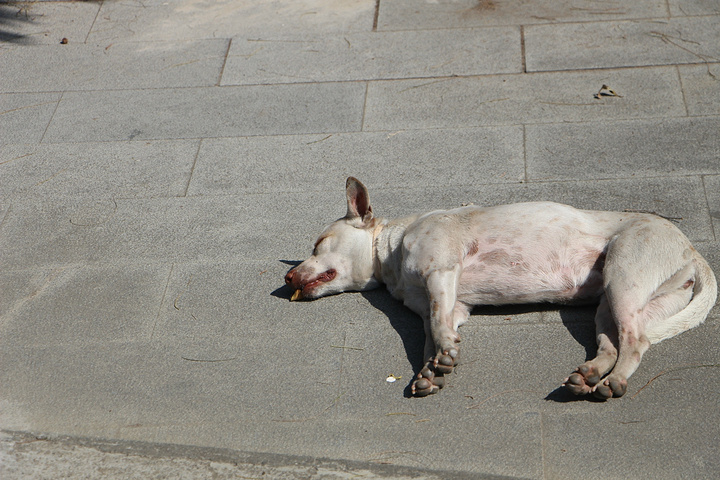 2015原本想在这一天租一辆机车环垦丁游。但