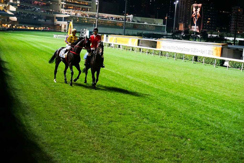 2015下注金额最低10元_跑马地赛马场评论 - 去哪儿攻略社区