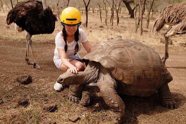 毛里求斯St.Regis 天堂之旅_毛里求斯旅游攻略