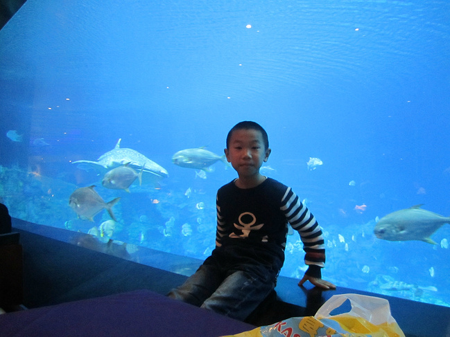 珠澳游,自在行._澳门旅游攻略