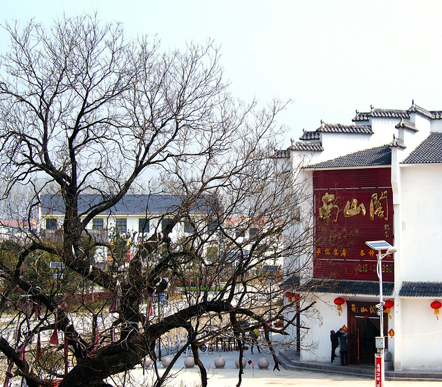 乱花迷人-2015年春淮北南山赏油菜花行