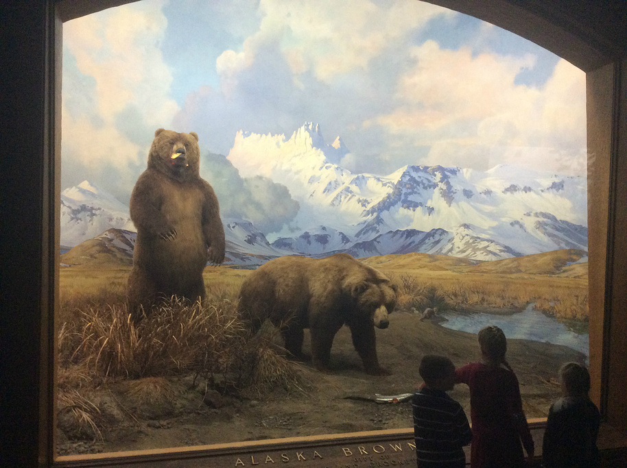 2015美国自然历史博物馆_旅游攻略_门票_地址