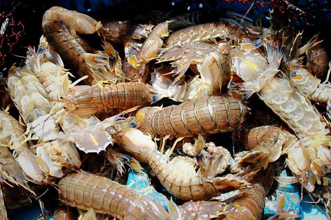 海鲜寿司街攻略_海鲜礼盒_海鲜攻略