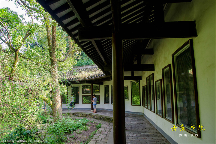 参观守御书楼,我们来到书院风景绝佳的地方——百泉轩,因为地处岳麓山
