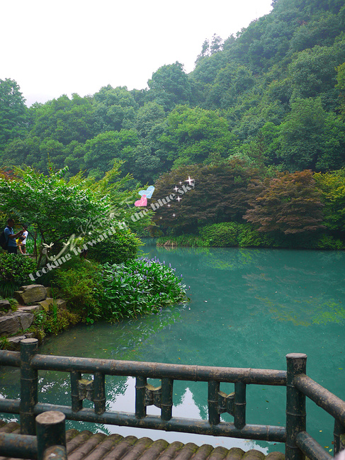 杭州九溪十八涧+千岛湖环湖公路自驾游_杭州