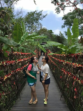 2015呀诺达雨林景区_旅游攻略_门票_地址_游