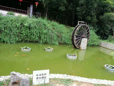 2015【景德镇v土楼土楼】景德镇自助游_周边游武夷山到攻略自驾游攻略图片