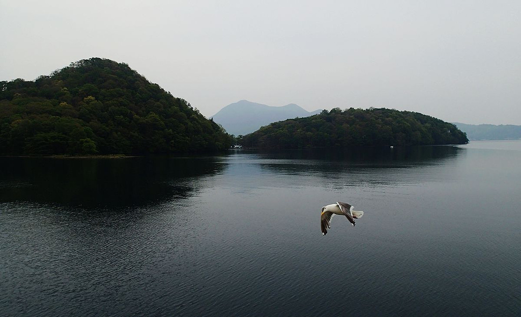 2015洞爷湖中岛_旅游攻略_门票_地址_游记点