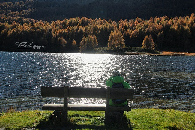 随心瑞士行_旅游攻略