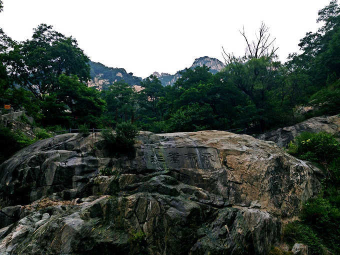 海河,泉城,泰山,一路向南～_天津旅游攻略_自助游攻略