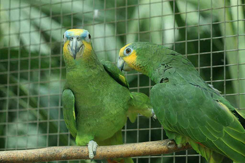 2015大连森林动物园_旅游攻略_门票_地址_游