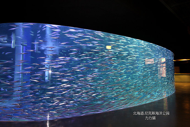 带着孩子去北海道~_登别旅游攻略