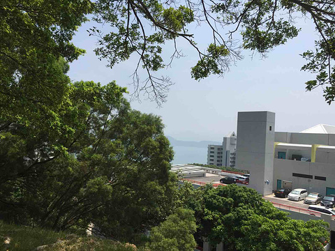 2015香港科技大学_旅游攻略_门票_地址_游记